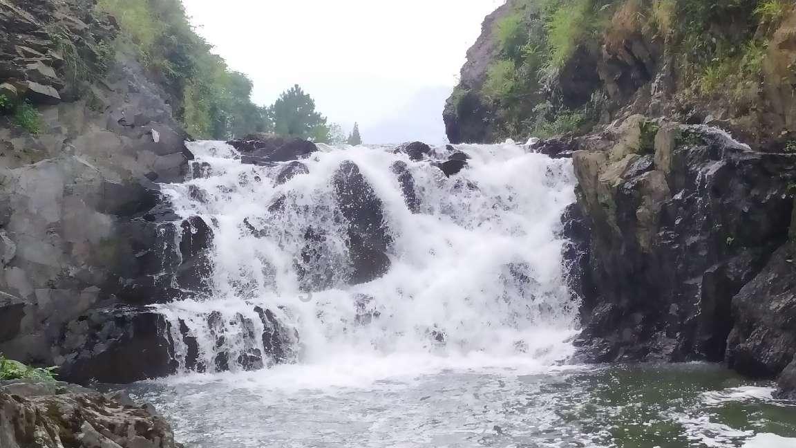 僵尸吃怪物